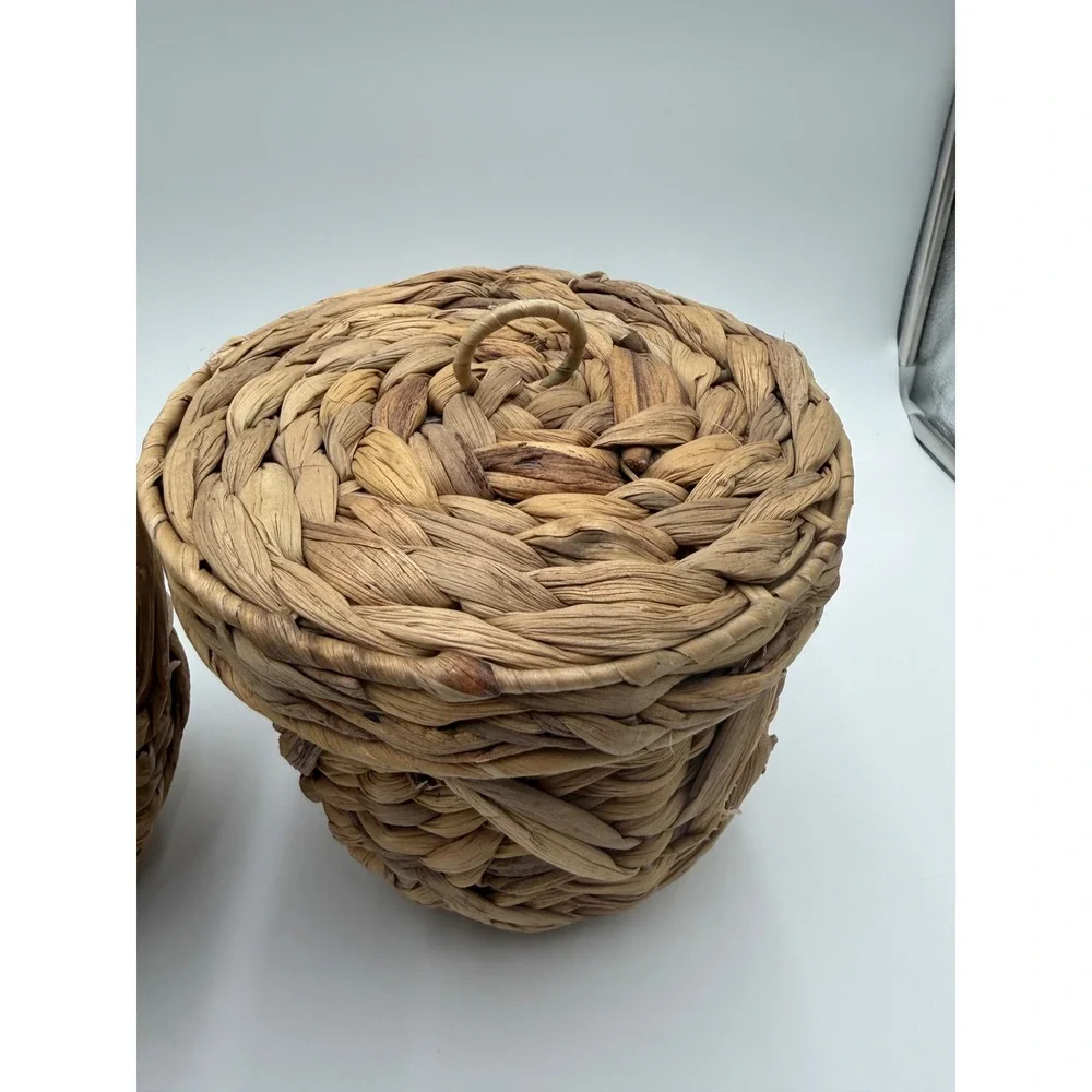 Set of 2 Woven Seagrass Baskets with Lids and Plastic Liners Natural Brown